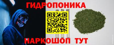 ГАЛЛЮЦИНОГЕННЫЕ ГРИБЫ Нальчик