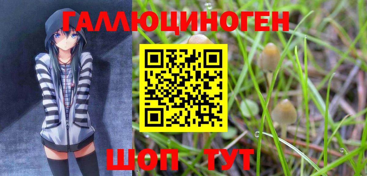 Псилоцибиновые грибы мицелий Урус-Мартан